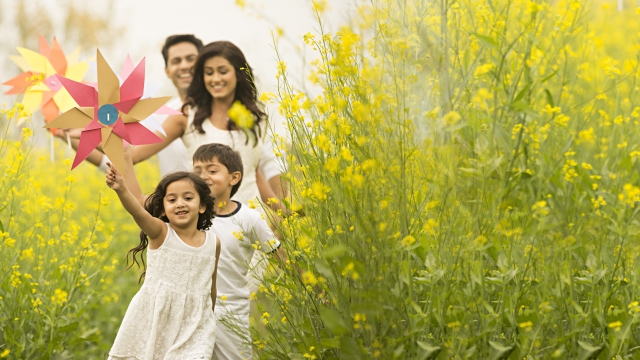 UNITED INDIA INSURANCE COMPANY LTD banner image 